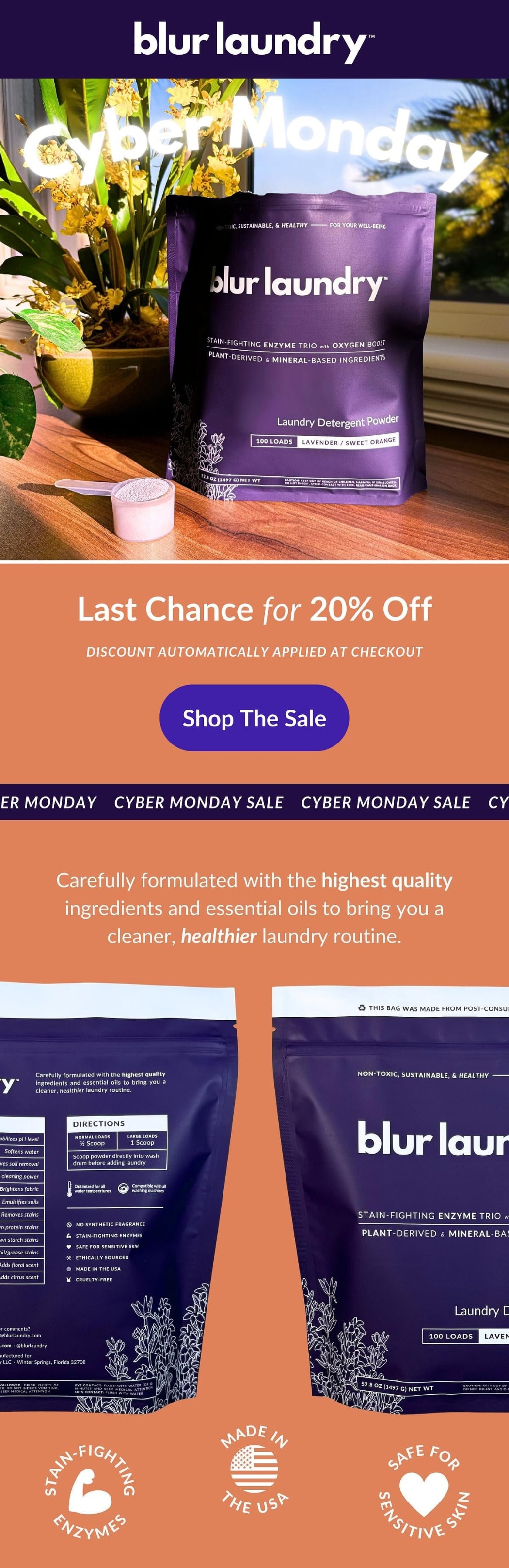 Cyber Monday Email